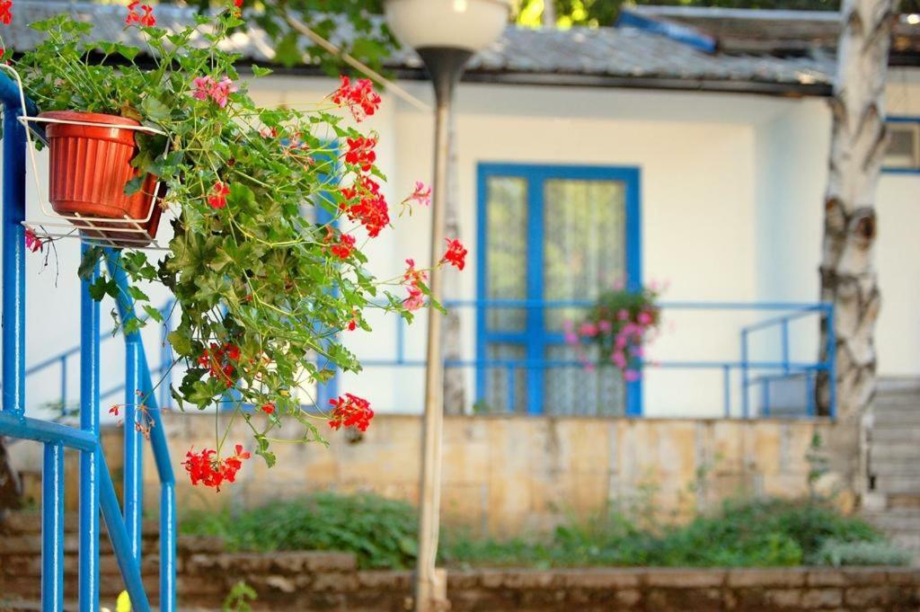 Комплекс Белите Къщи Shtarkelovo Gnezdo ภายนอก รูปภาพ