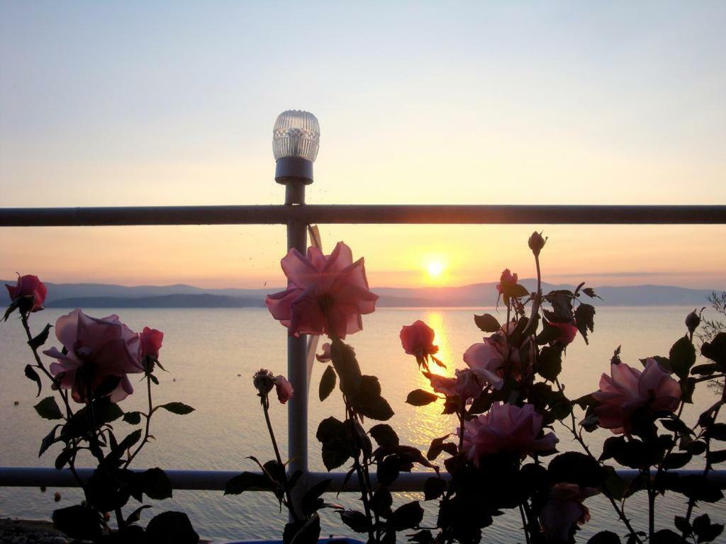 Комплекс Белите Къщи Shtarkelovo Gnezdo ภายนอก รูปภาพ