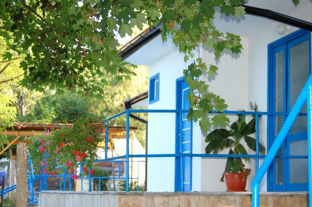 Комплекс Белите Къщи Shtarkelovo Gnezdo ภายนอก รูปภาพ